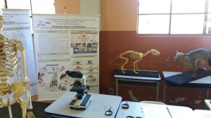 Foto 5  